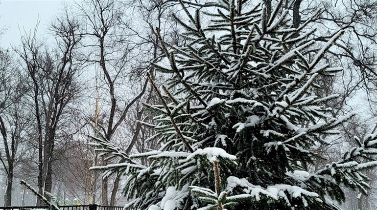 Погода на тиждень – мороз послабиться на Гадяччині, але буде вітряно й слизько