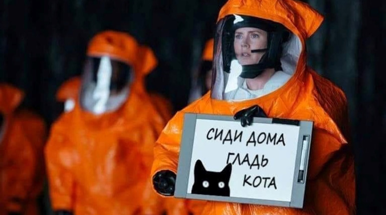Гречка, туалетний папір, дистанційна робота: ми зібрали яскраві меми про карантин