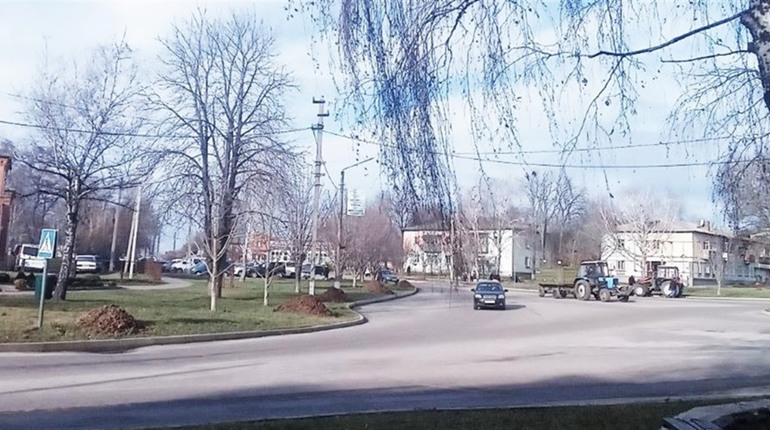 Весна посеред січня. Якою буде погода цього тижня