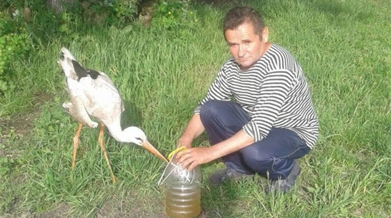 Лелека з осені господарює в дворі степангородців, ходить з дідом рибалити і ловить щурів у хліві