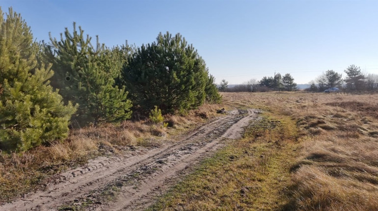 Право оренди п’яти сільськогосподарських земельних ділянок у Белзькій громаді продадуть з аукціону