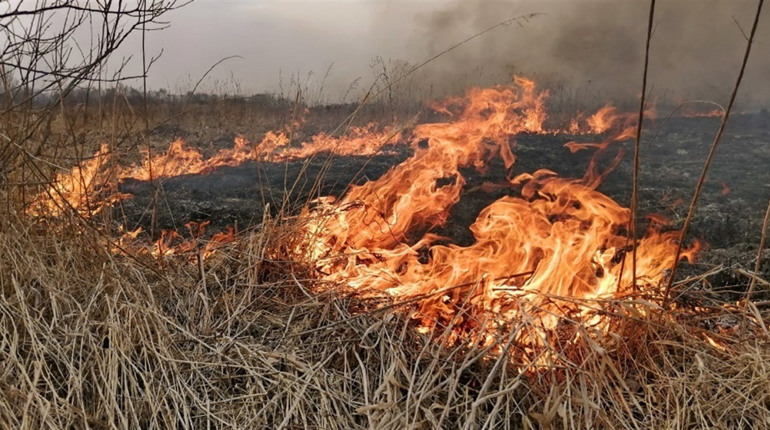 Рятувальники попереджають: паліям сухої трави загрожують багатотисячні штрафи
