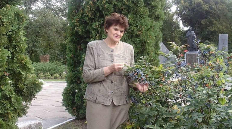 Національний мультипредметний тест: коли випускники з Гадяччини зможуть зареєструватися та пройти