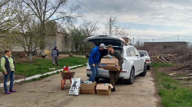 Напередодні Великодня собаки з южноукраїнського притулку отримали від волонтерів «смаколики»