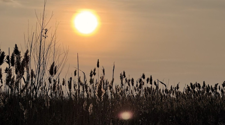 Весняне рівнодення 2026: коли настає та чому печуть жайворонків