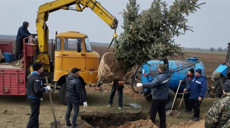 У Біляївській громаді висадили 68 дерев та кущів: двомісячник з благоустрою триває