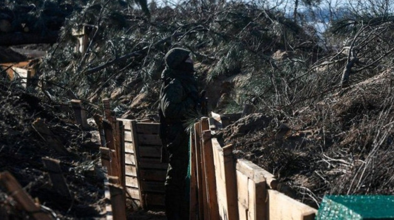 Деревина для війська. Чернігівщина відвантажила на потреби оборони лісоматеріали