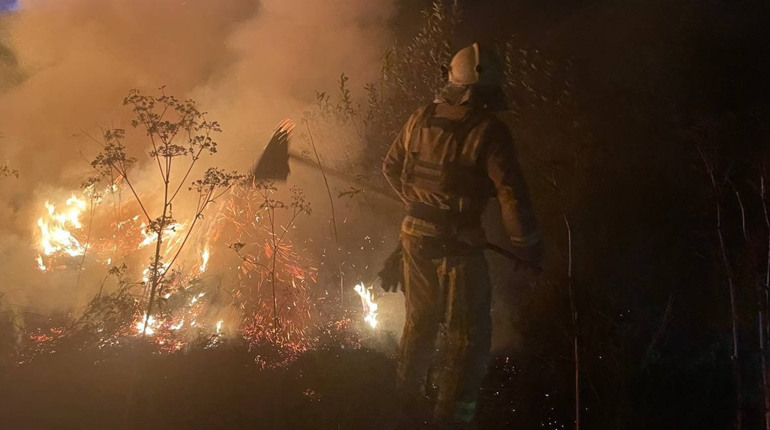 Із початку вересня на Глухівщині 25 разів горіла суха трава – ДСНС
