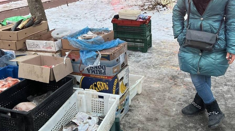 У Біляївці, Одесі та Ізмаїлі продавали рибу і червону ікру з рук без дозвільних документів