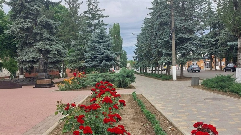 У Біляївській громаді буде двомісячник з благоустрою: що потрібно зробити мешканцям і підприємцям