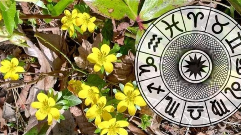 Гороскоп на тиждень з 9 по 15 березня 2026 року: що зірки нам приготували