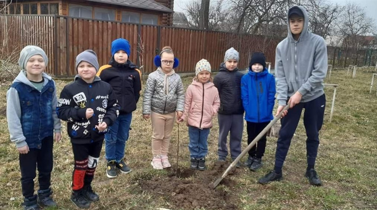 У Фастівській громаді висадили 514 дерев та 330 кущів в рамках проекту «Дерева Перемоги»