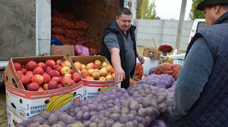 Ярмарок у Біляївці: він буде сільськогосподарській і благодійний, з продажем вертут і глінтвейну