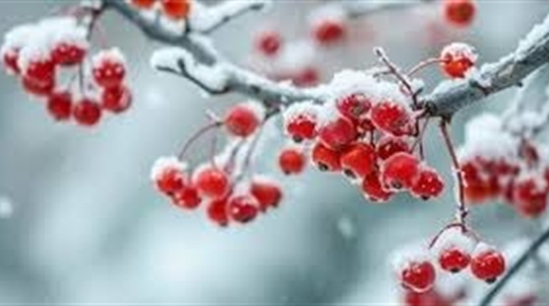 Радіаційний стан навколо Хмельницької АЕС за минулий тиждень