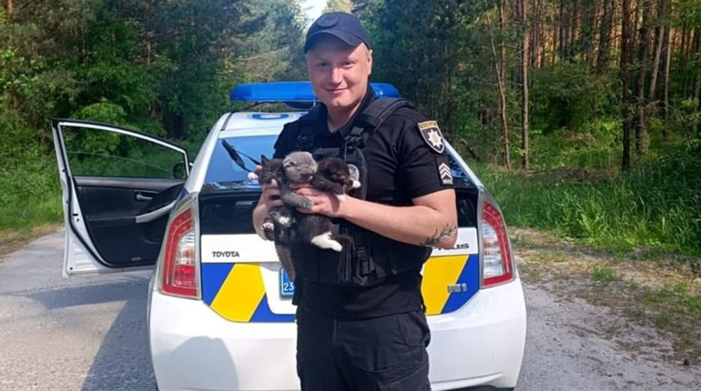 Кожне життя важливе: у Нетішині поліцейські врятували трьох кошенят