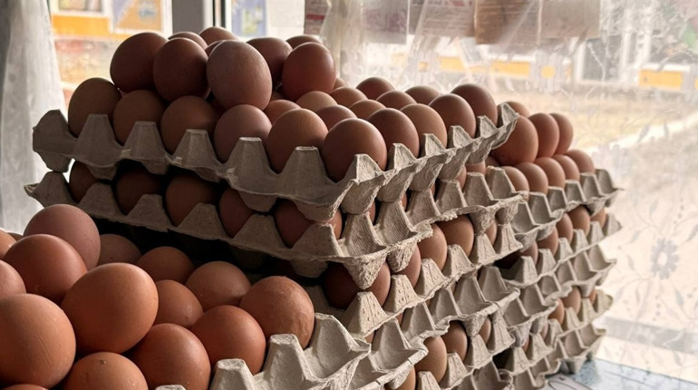 Яйця знову дорожчають: за рік — понад 30%
