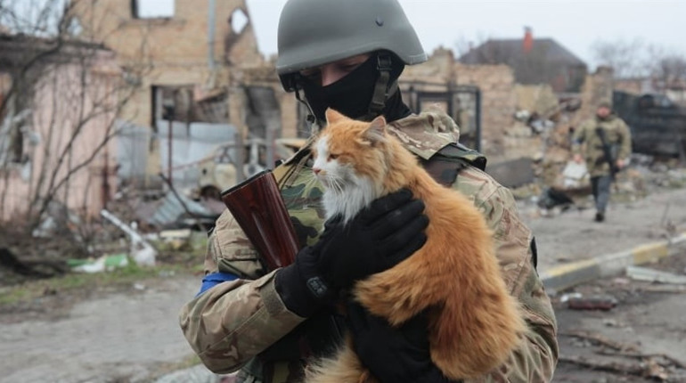 Британська розвідка повідомляє: ЗСУ досягли певних успіхів у контратаці на Херсонщині