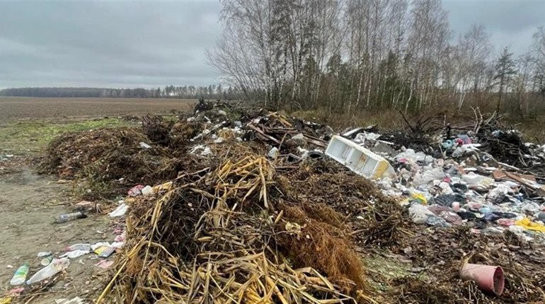 Поблизу Звягеля виявили три стихійні сміттєзвалища: Держекоінспекція