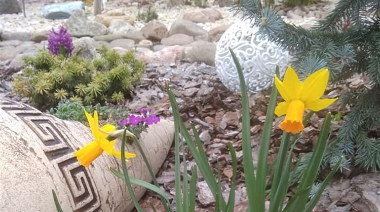 Родина з Первомайська перетворила смітник на мініпарк. Відео