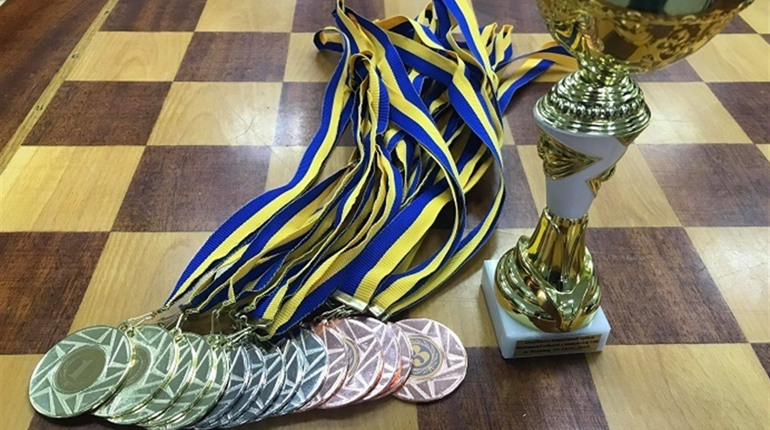 Братик - чемпіон, а сестричка – призерка: калинівчани здобули нагороди на чемпіонаті області