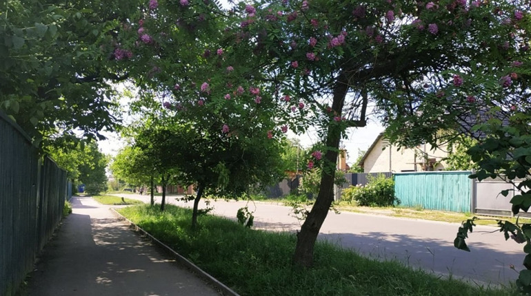 Дощі та спека: якою буде погода на Гадяччині протягом тижня