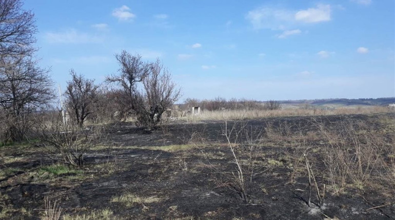 У Миколаївці випалюючи сухостій згоріла людина