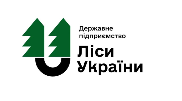 Кадрові чистки в лісовій галузі: на Рівненщині звільнили керівників усіх філій
