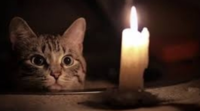 Графік відключень електроенергії у Нетішині на 20 січня