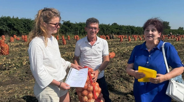 Фермери у Біляївській МТГ збирають 90 т/га цибулі за корейською технологією