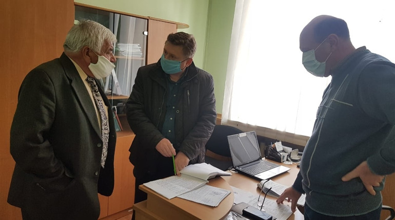У Каховці зафіксували спалах чуми свиней
