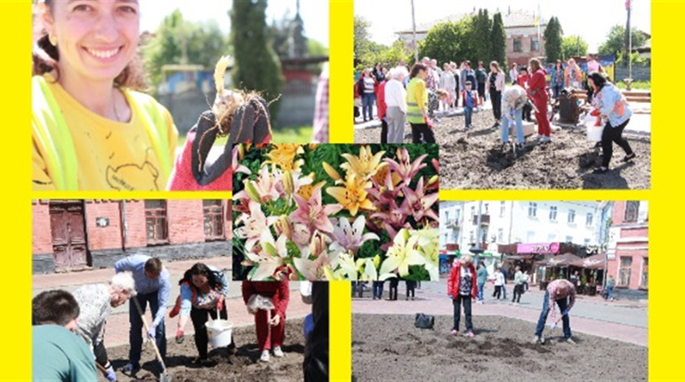 100 лілій задля Перемоги висадили в Ніжині
