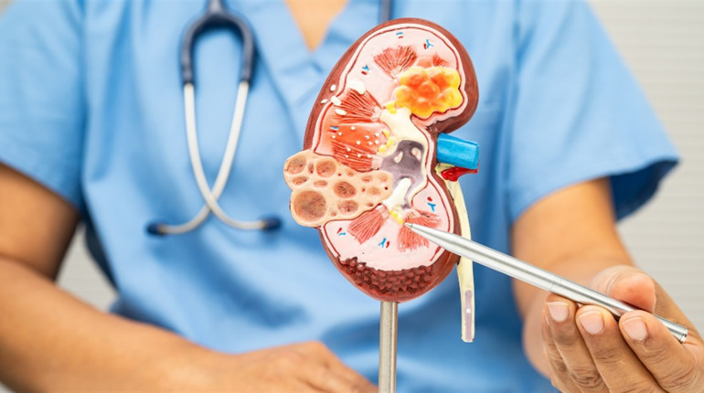 Спадщина, що дарує життя: як працює механізм посмертного донорства в Україні