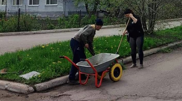 У Добропіллі комунальники озеленюють місто. ФОТО