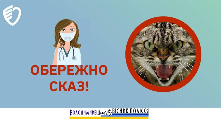 У Вараському районі виявляють скажених диких тварин
