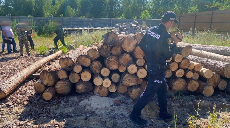 Поліцейські рейди: на Сарненщині знайшли нелегальні деревину, мотопомпу й обладнання