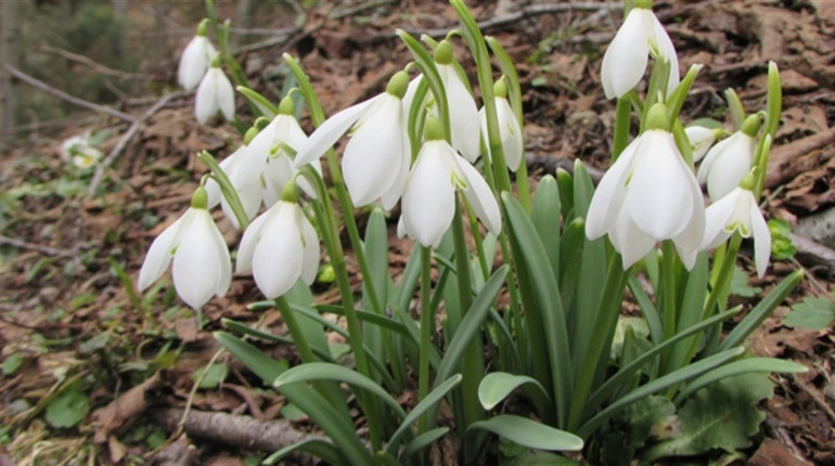 Радіаційний стан навколо Хмельницької АЕС за минулий тиждень