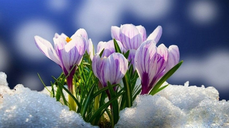 Невеликі опади та місцями ожеледиця: що прогнозують синоптики на другу половину тижня