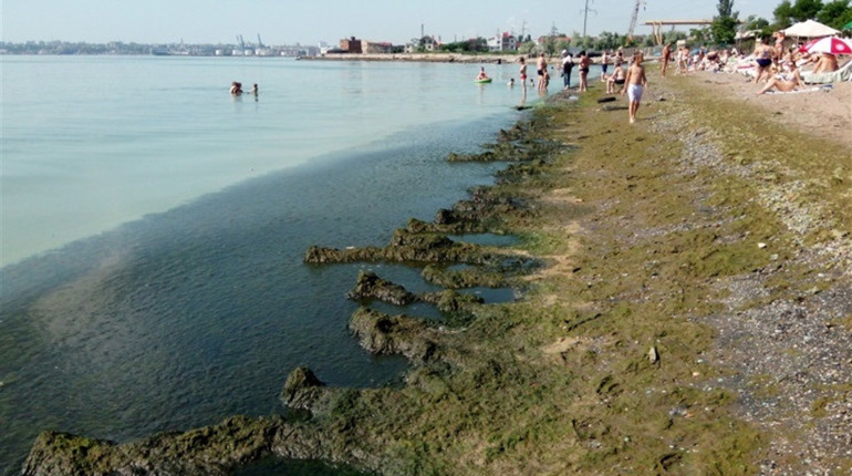 Що відбувається з водою в Чорному морі та на яких пляжах вже зараз безпечно купатися?