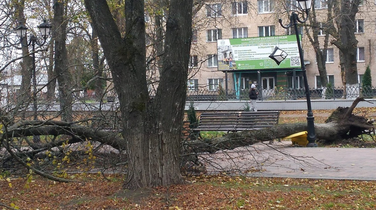 Вітер сьогодні наробив шкоди...