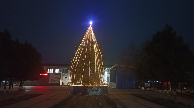 В Лазурному на Херсонщині до Нового року прикрасили живу ялинку та роблять цікаві фотозони