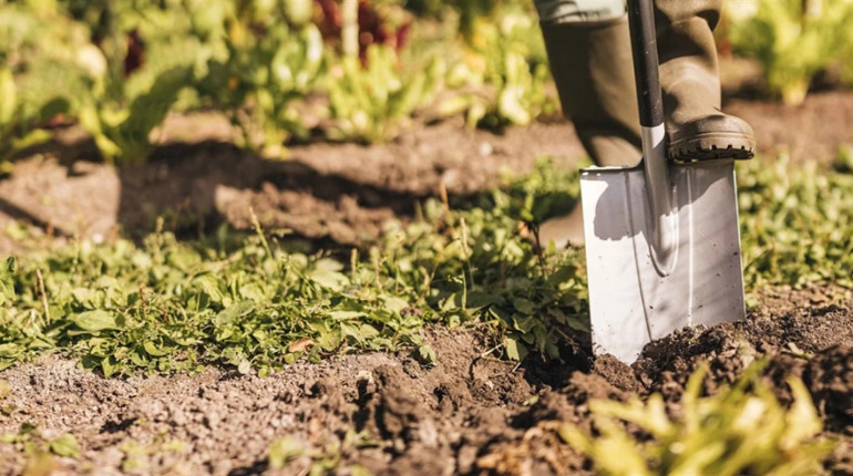Чому професійний інструмент служить десятиліттями