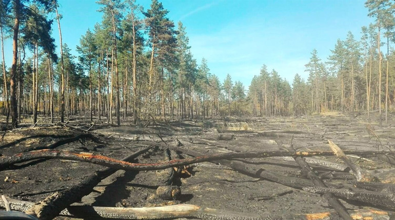 Спецслужбам у нотатник. На Луганщині окупанти оприлюднили прізвища і телефони колаборантів