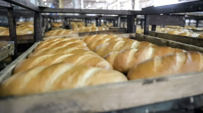 Ціни на хліб на Полтавщині можуть зрости до 10%