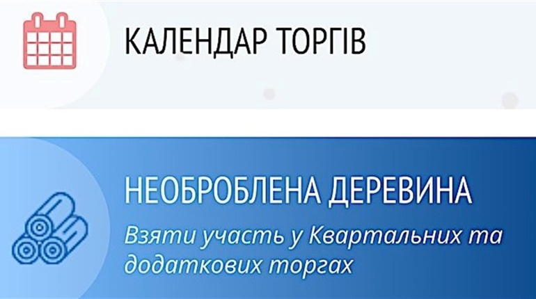 Як оцінити якість деревини до електронних торгів