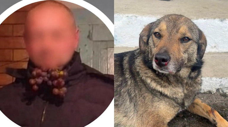 У Клесові чоловік жорстоко побив собаку: тварину врятували