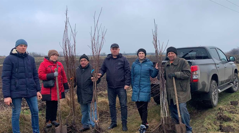 Згуртувалися і висадили 100 дерев: як знам’янчани озеленювали територію
