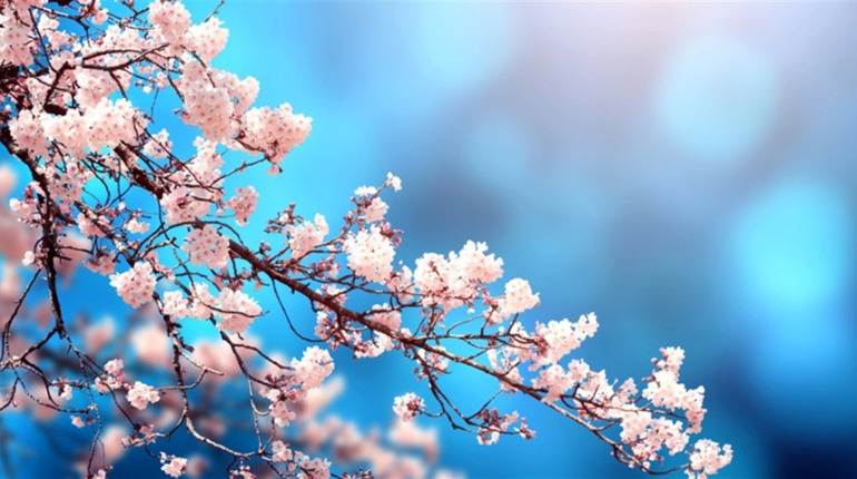 Вночі мороз, вдень — до +14°C: прогноз погоди у Гадячі на тиждень