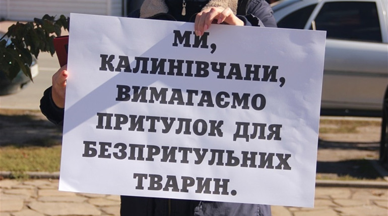 Як калинівчани організувалися та стали на захист бездомних тварин. Громадська ініціатива 