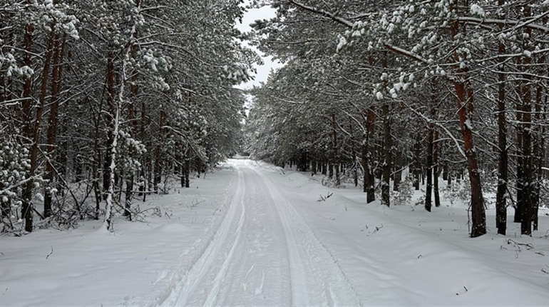 Хуртовини й ожеледиця: жителів Рівненщини попереджають про надмірні опади