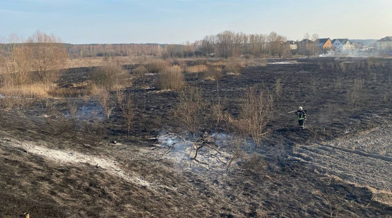 У Переяславі рятувальники двічі за день гасили загорання трави